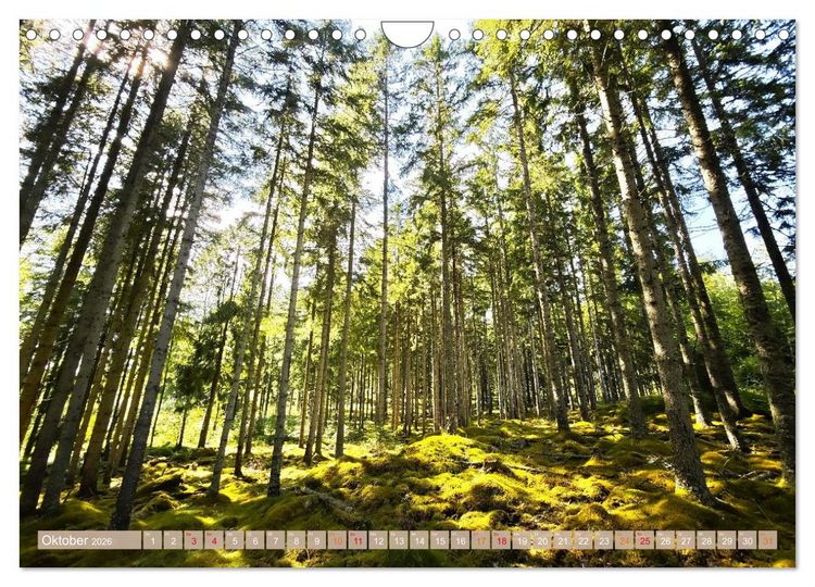 Produktbild: Schweden im Sommer (Wandkalender 2026 DIN A4 quer), CALVENDO Monatskalender