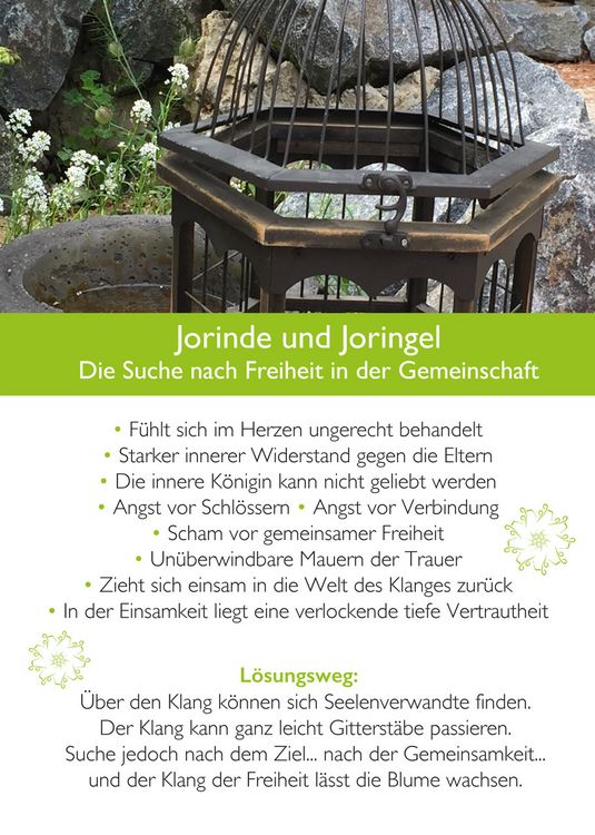 Produktbild: Ahnenmedizin und Seelenhom&ouml;opathie - Kartenset Mikrokosmos