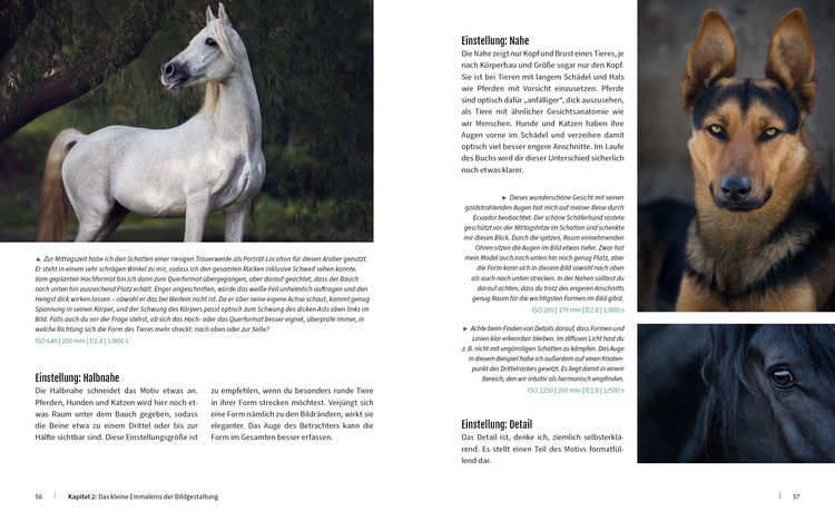 Produktbild: Haustiere perfekt fotografieren