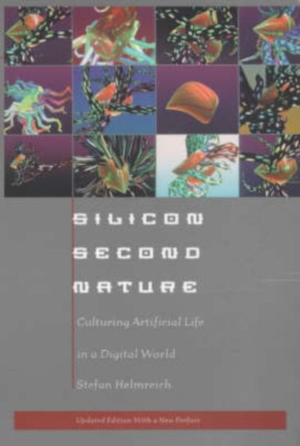 Produktbild: Silicon Second Nature