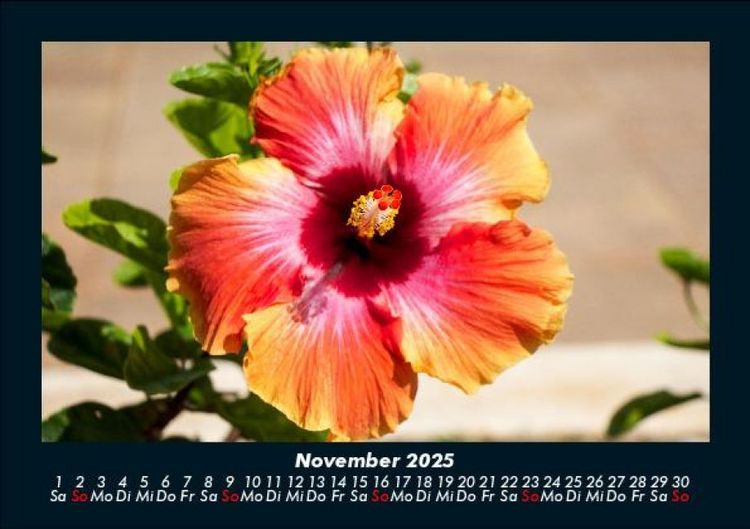 Produktbild: Blumentraum 2025 Fotokalender DIN A5