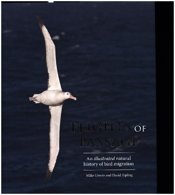 Produktbild: Flights of Passage