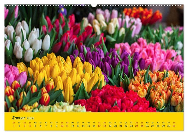 Produktbild: Tulpentraum (Wandkalender 2026 DIN A2 quer), CALVENDO Monatskalender