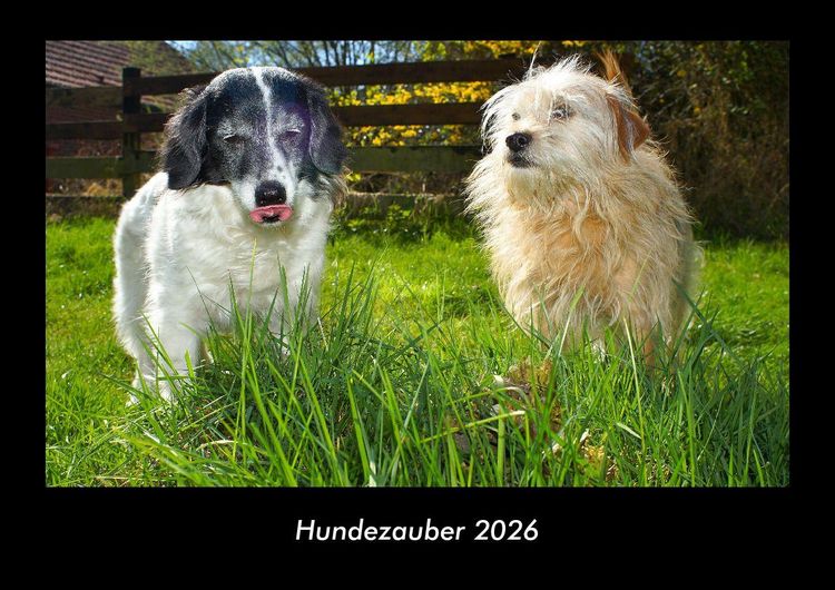 Produktbild: Hundezauber 2026 Fotokalender DIN A3