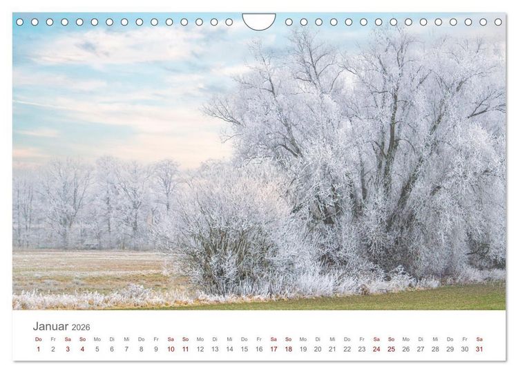 Produktbild: Spreewald - Ein Naturparadies (Wandkalender 2026 DIN A4 quer), CALVENDO Monatskalender