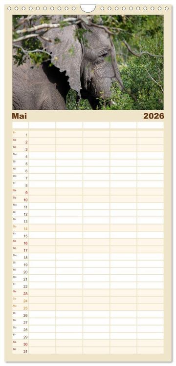 Produktbild: Familienplaner 2026 - begegnungen - elefanten im s&uuml;dlichen afrika mit 5 Spalten (Wandkalender, 21 x 45 cm) CALVENDO