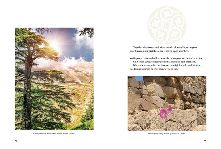 Produktbild: The Prophet Illustrated