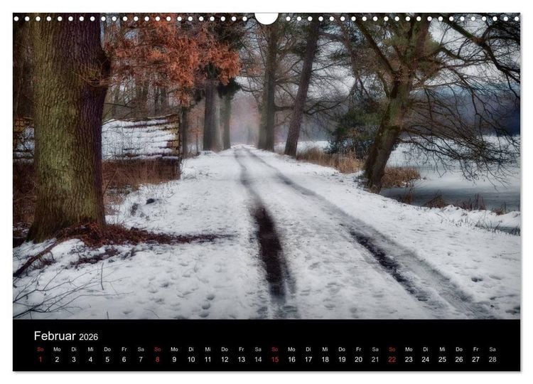 Produktbild: Waldkalender (Wandkalender 2026 DIN A3 quer), CALVENDO Monatskalender