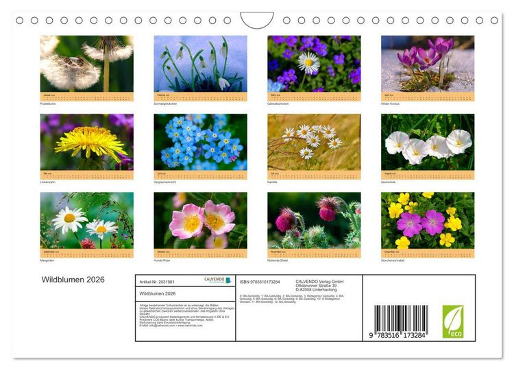 Produktbild: Wildblumen 2026 (Wandkalender 2026 DIN A4 quer), CALVENDO Monatskalender