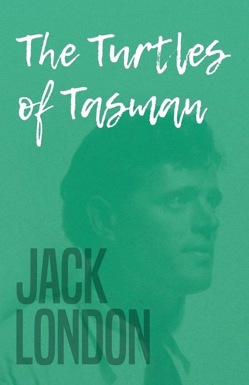 Produktbild: The Turtles of Tasman