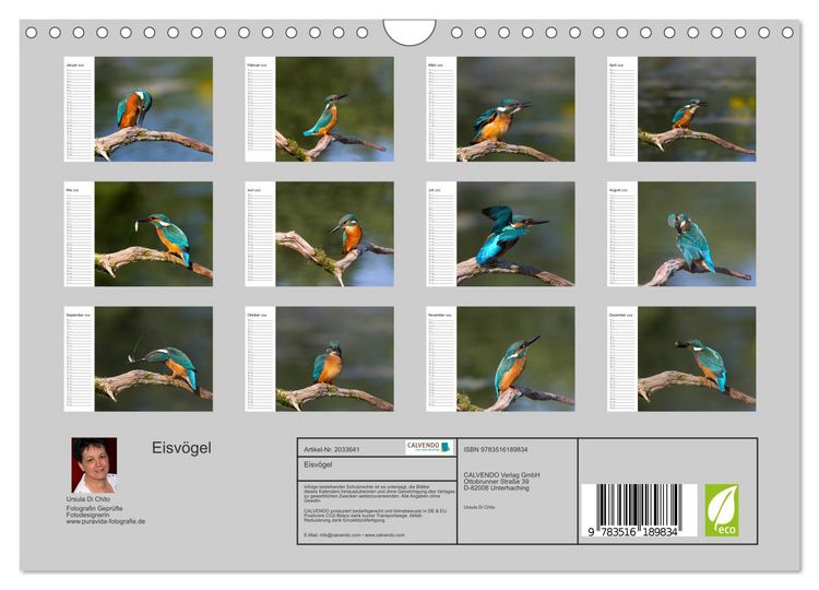 Produktbild: Eisv&ouml;gel (Wandkalender 2026 DIN A4 quer), CALVENDO Monatskalender