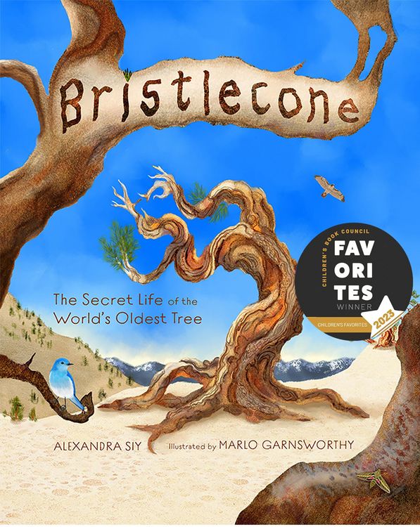 Produktbild: Bristlecone: The Secret Life of the World's Oldest Tree