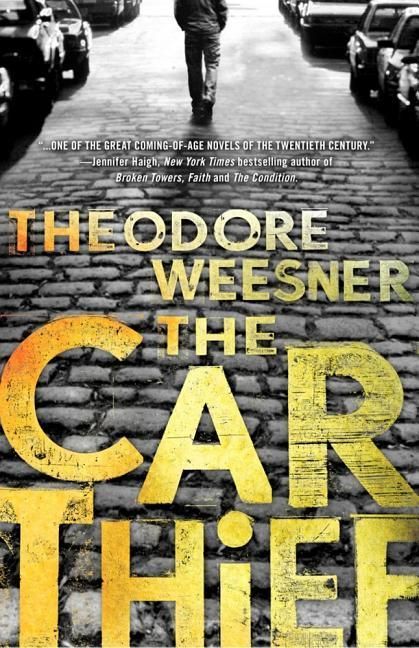 Produktbild: Car Thief