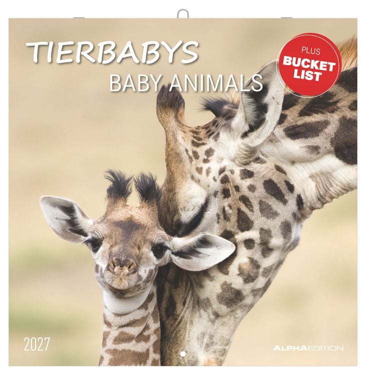 Produktbild: Tierbabys 2027