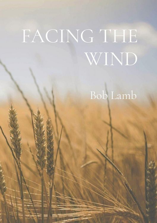 Produktbild: Facing The Wind
