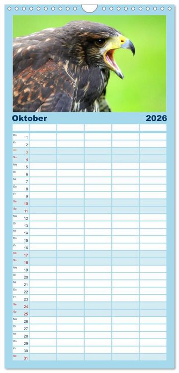 Produktbild: Familienplaner 2026 - Greifv&ouml;gel, Eulen und K&auml;uze mit 5 Spalten (Wandkalender, 21 x 45 cm) CALVENDO