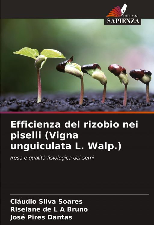 Produktbild: Efficienza del rizobio nei piselli (Vigna unguiculata L. Walp.)