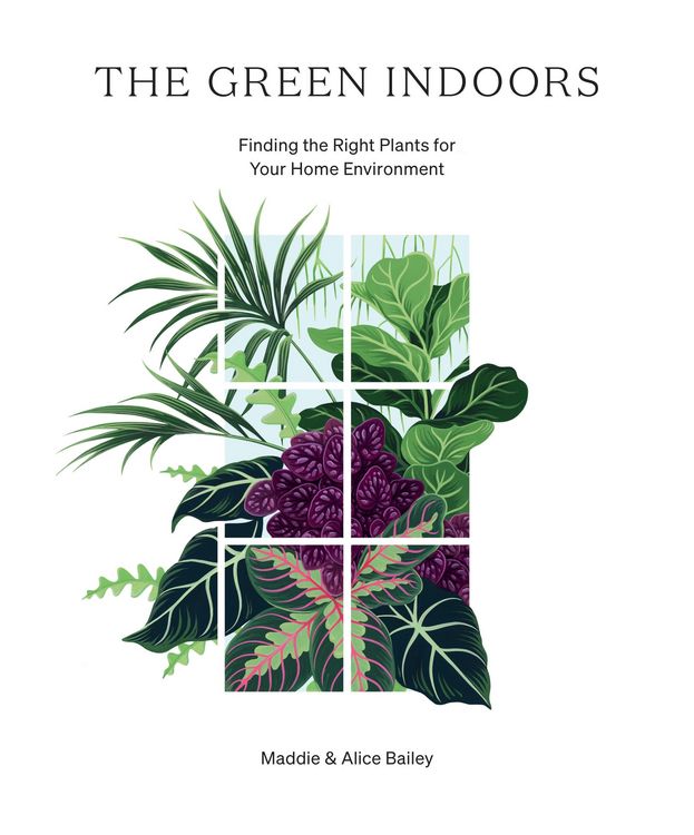 Produktbild: The Green Indoors