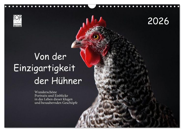 Produktbild: Von der Einzigartigkeit der H&uuml;hner 2026 (Wandkalender 2026 DIN A3 quer), CALVENDO Monatskalender