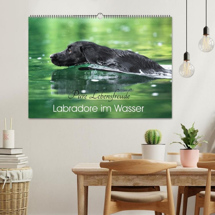 Produktbild: Labradore im Wasser (Wandkalender 2027 DIN A2 quer), CALVENDO Monatskalender