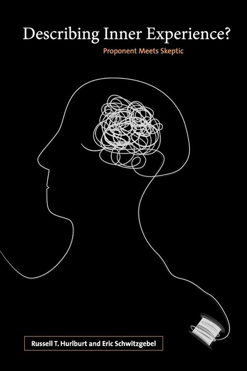 Produktbild: Describing Inner Experience?