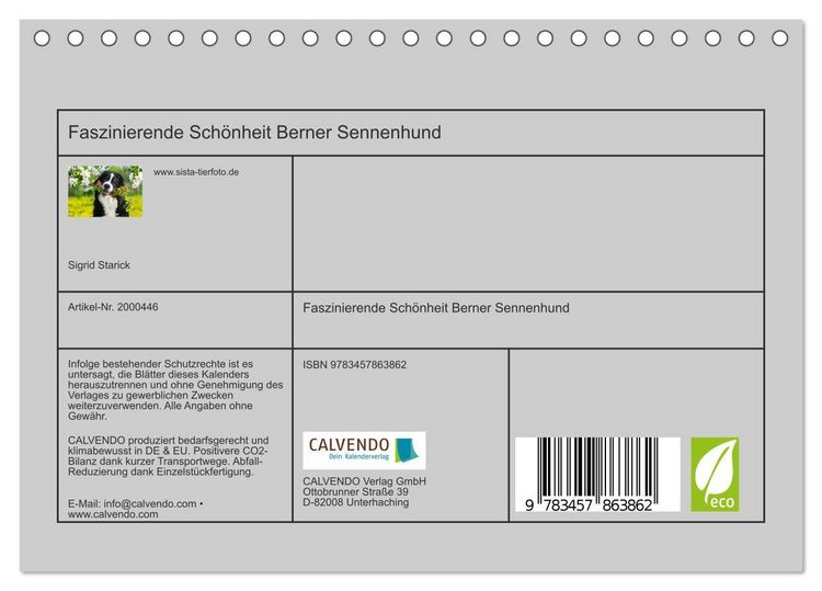 Produktbild: Faszinierende Sch&ouml;nheit Berner Sennenhund (Tischkalender 2026 DIN A5 quer), CALVENDO Monatskalender