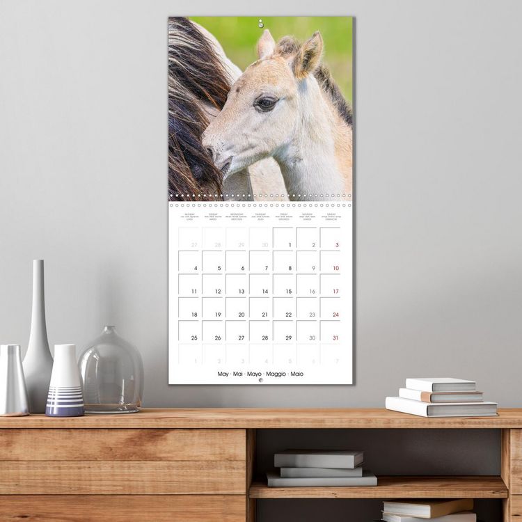 Produktbild: Konik horses (Wall Calendar 2026 12 &times; 12 Inch) CALVENDO 12 Month Wall Calendar