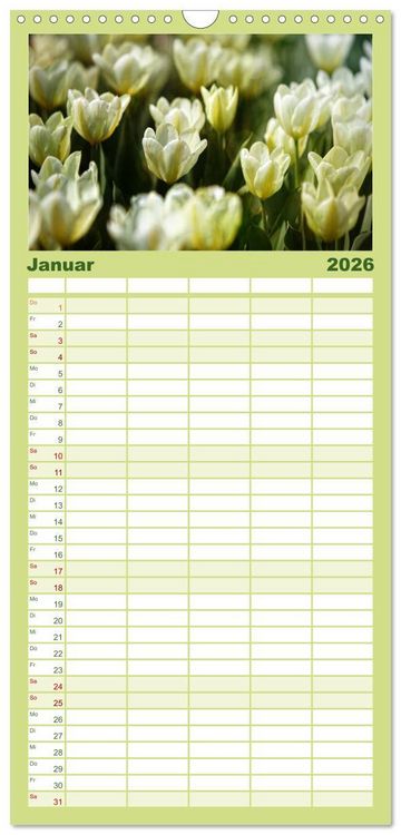 Produktbild: Familienplaner 2026 - 12 Farben Kunst und K&uuml;che mit 5 Spalten (Wandkalender, 21 x 45 cm) CALVENDO