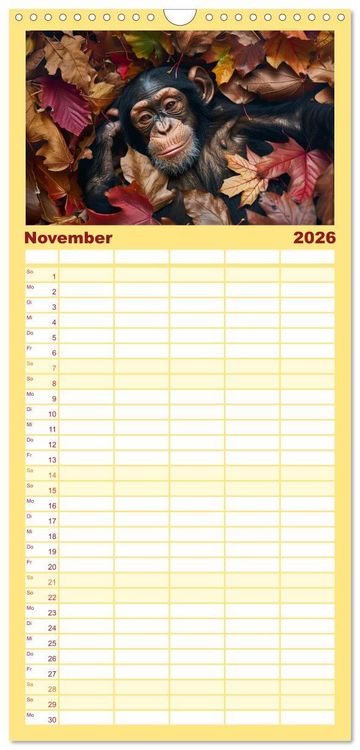 Produktbild: Familienplaner 2026 - Schimpansen - Ein Jahr mit Menschenaffen. mit 5 Spalten (Wandkalender, 21 x 45 cm) CALVENDO