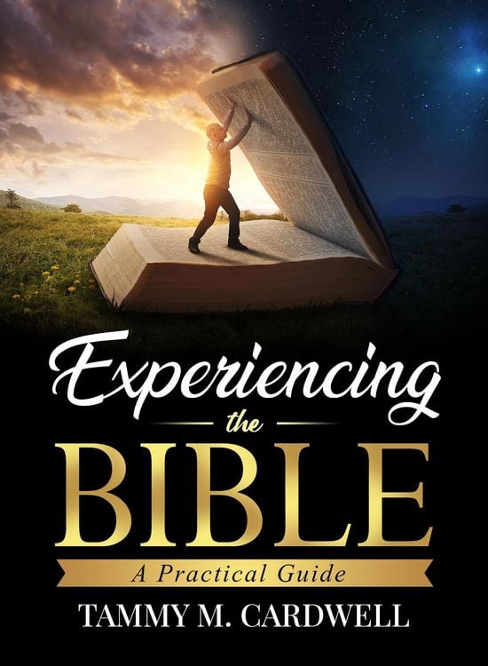 Produktbild: Experiencing the Bible: A Practical Guide