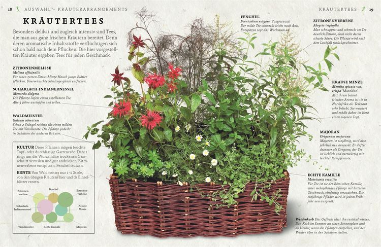 Produktbild: K&uuml;chenkr&auml;uter anbauen und genie&szlig;en