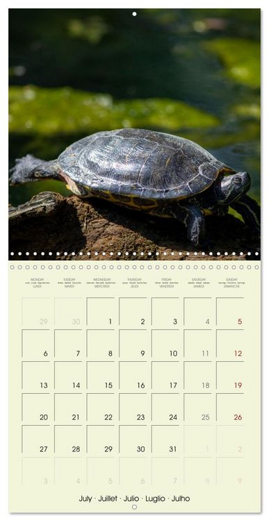 Produktbild: Les merveilles du monde les reptiles (Calendrier mural carr&eacute; 2026 30x30 cm) Calendrier double avec une page pour vos prises de notes