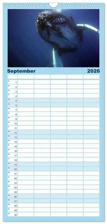 Produktbild: Familienplaner 2026 - Delfine und Wale mit 5 Spalten (Wandkalender, 21 x 45 cm) CALVENDO