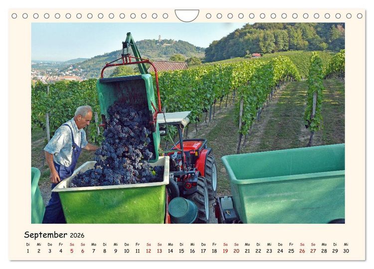 Produktbild: Weinlandschaft - Heppenheim an der Bergstra&szlig;e (Wandkalender 2026 DIN A4 quer), CALVENDO Monatskalender