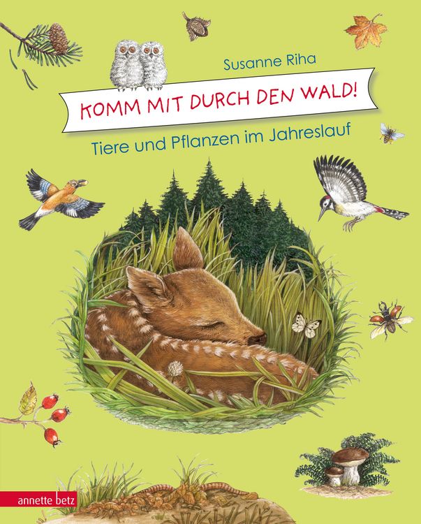 Produktbild: Komm mit durch den Wald