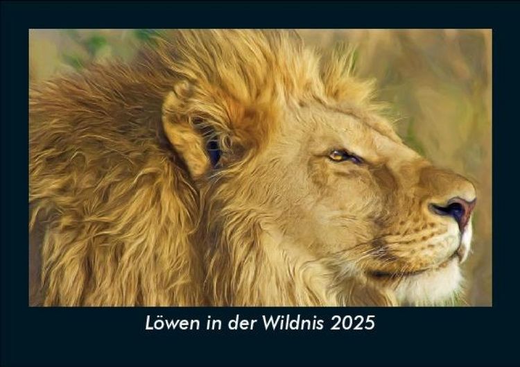 Produktbild: L&ouml;wen in der Wildnis 2025 Fotokalender DIN A5