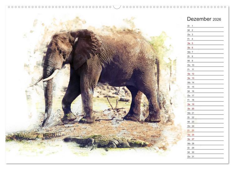 Produktbild: Tierportraits - Fine Art (hochwertiger Premium Wandkalender 2026 DIN A2 quer), Kunstdruck in Hochglanz