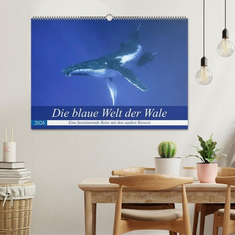 Produktbild: Die blaue Welt der Wale (Wandkalender 2026 DIN A2 quer), CALVENDO Monatskalender