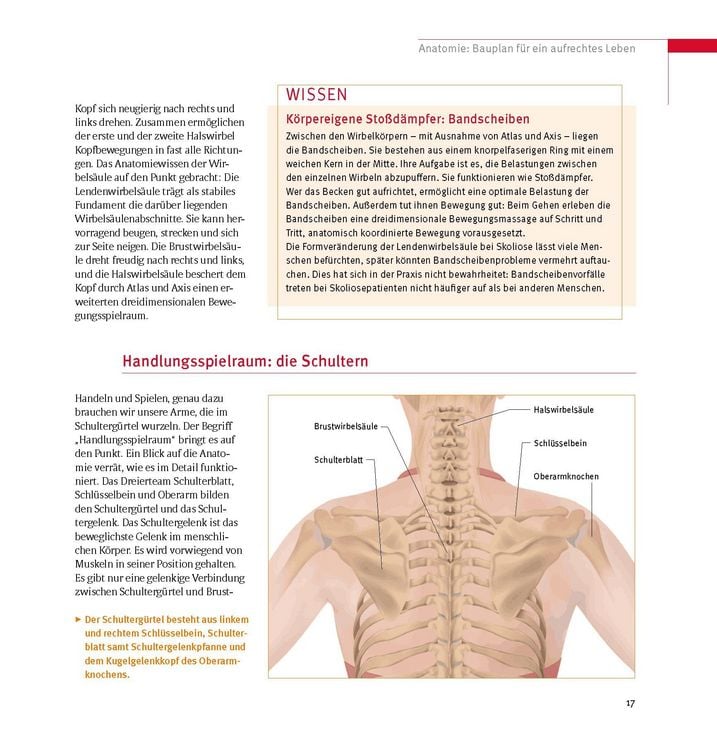 Produktbild: Skoliose - Aufrecht durch Bewegung