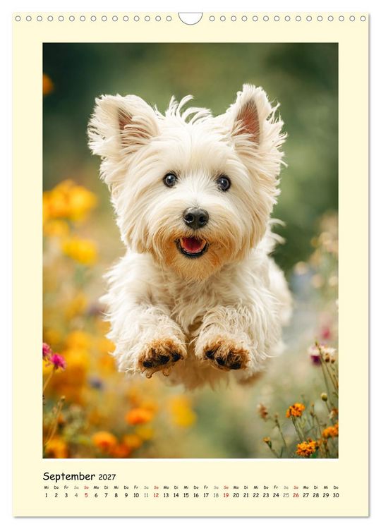 Produktbild: S&uuml;&szlig;er Wuschelkopf. West Highland White Terrier Momente (Wandkalender 2027 DIN A3 hoch), CALVENDO Monatskalender