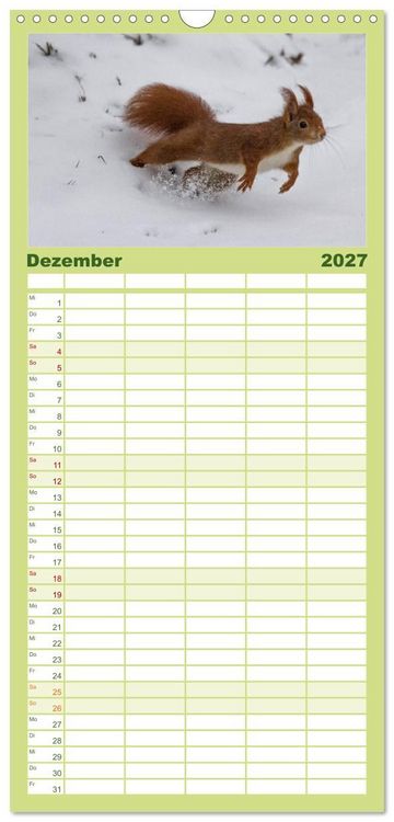 Produktbild: Familienplaner 2027 - Mit dem Eichh&ouml;rnchen durchs Jahr mit 5 Spalten (Wandkalender, 21 x 45 cm) CALVENDO