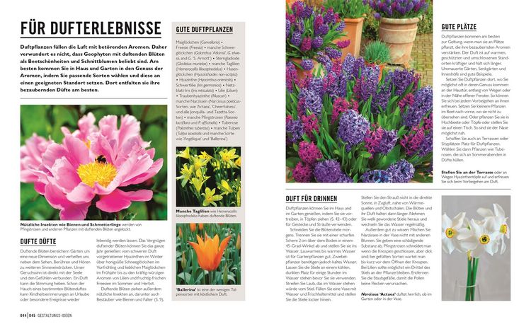 Produktbild: Gr&uuml;nes Gartenwissen. Zwiebel- und Knollenpflanzen