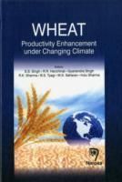 Produktbild: WHEAT