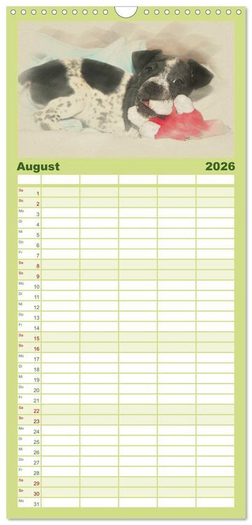 Produktbild: Familienplaner 2026 - Hundewelpen 2026 mit 5 Spalten (Wandkalender, 21 x 45 cm) CALVENDO