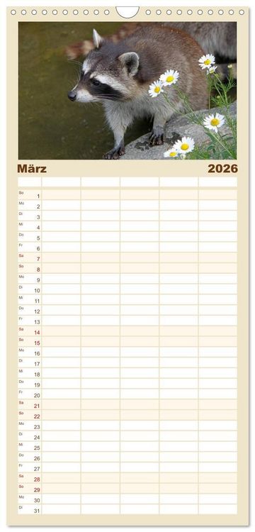 Produktbild: Familienplaner 2026 - Waschb&auml;ren mit 5 Spalten (Wandkalender, 21 x 45 cm) CALVENDO