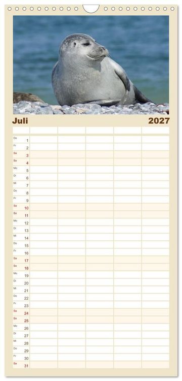 Produktbild: Familienplaner 2027 - Das Leben der Robben mit 5 Spalten (Wandkalender, 21 x 45 cm) CALVENDO