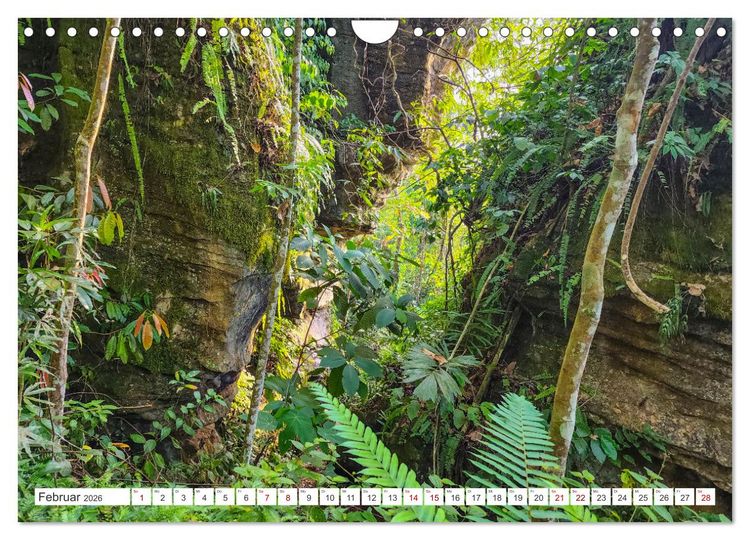Produktbild: Gunung Leuser Nationalpark Sumatra (Wandkalender 2026 DIN A4 quer), CALVENDO Monatskalender