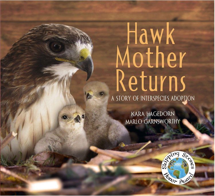 Produktbild: Hawk Mother Returns