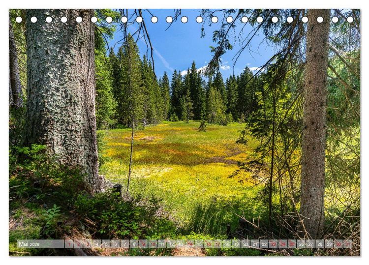 Produktbild: Vogtland - Farben einer Landschaft (Tischkalender 2026 DIN A5 quer), CALVENDO Monatskalender