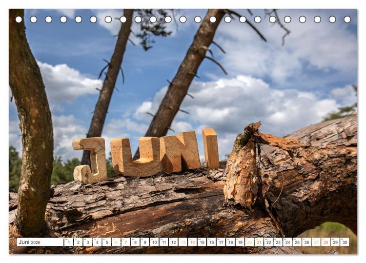Produktbild: Holz, ein fantastischer Rohstoff. (Tischkalender 2026 DIN A5 quer), CALVENDO Monatskalender